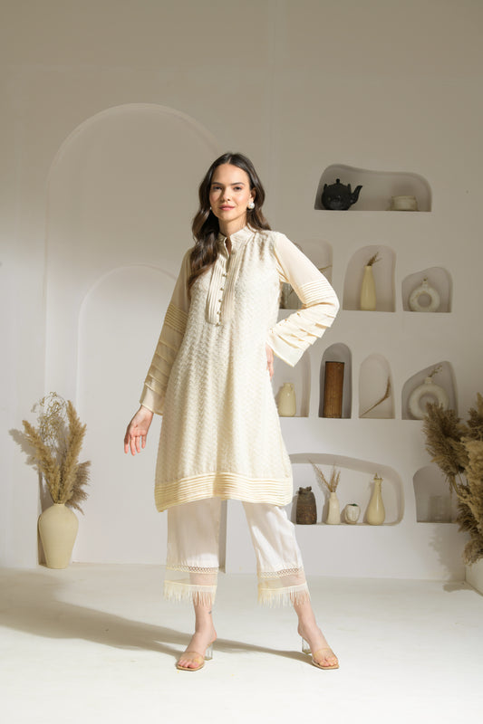 Firdos Textured Fabric Kurta with Georgette hand pleated sleeves and Rayon Straight fit Pants - Set of 2
